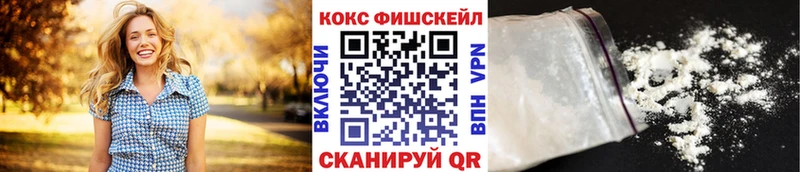 Кокаин Fish Scale  сколько стоит  Дмитриев 