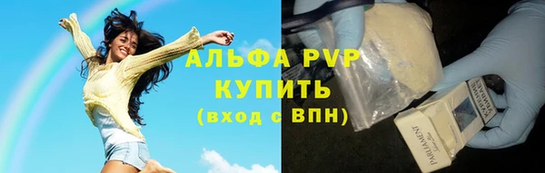 ECSTASY Бородино