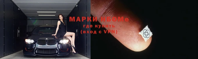 ECSTASY Бородино