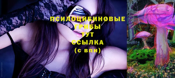 дмт Верея