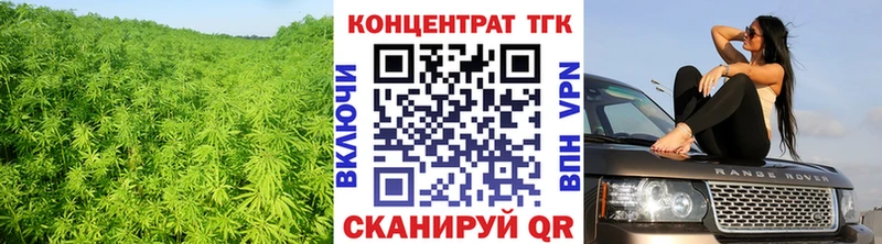 наркошоп  Дмитриев  ТГК THC oil 